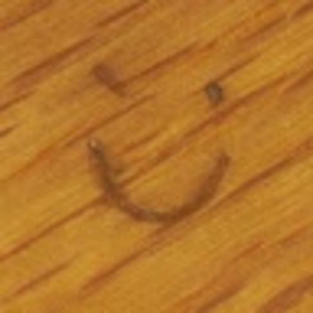 Meet your Posher, Lani